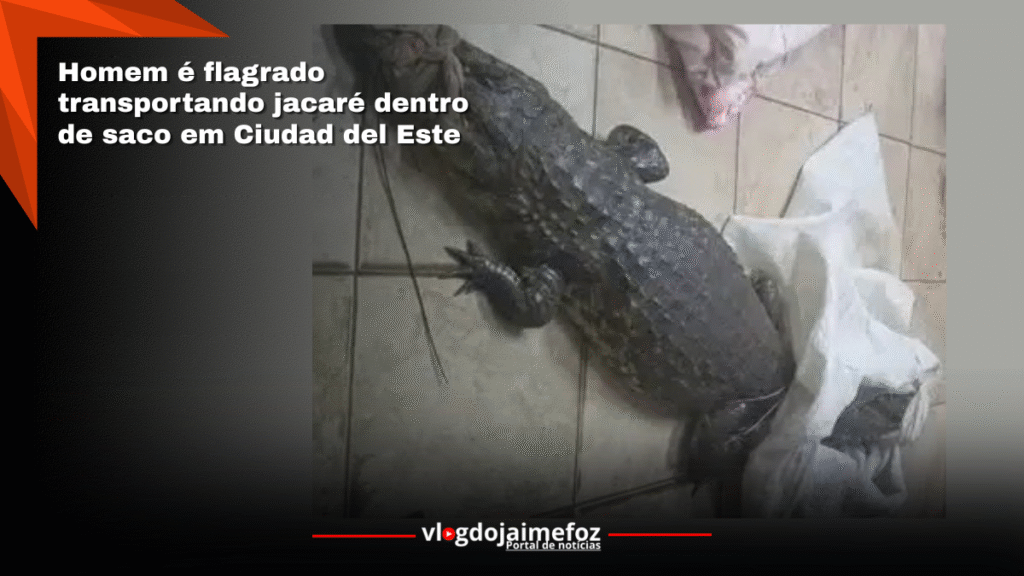 “JACARÉ NA SACOLA! Homem é detido no centro de CDE”.